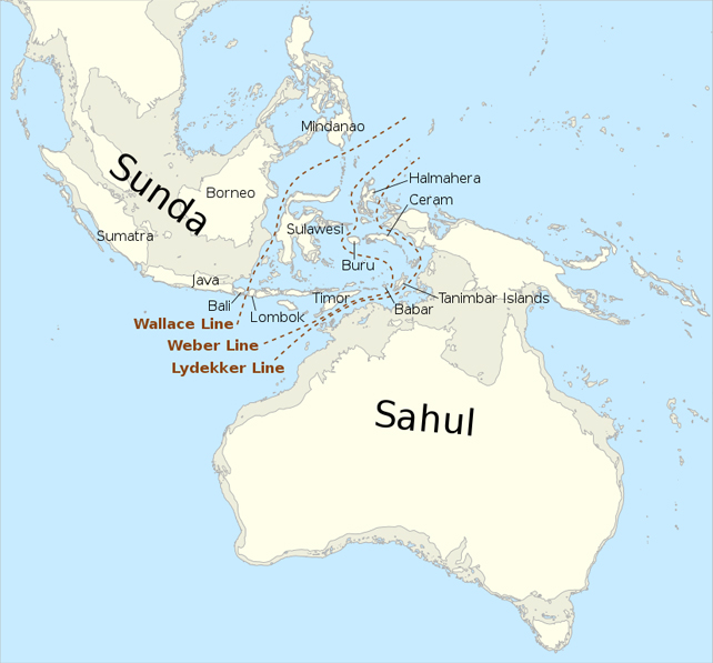 A map of Sunda and Sahul.
