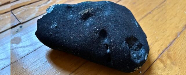 The potential meteorite, in the bedroom where it landed, shown as dark oval shaped rock on floorboards.