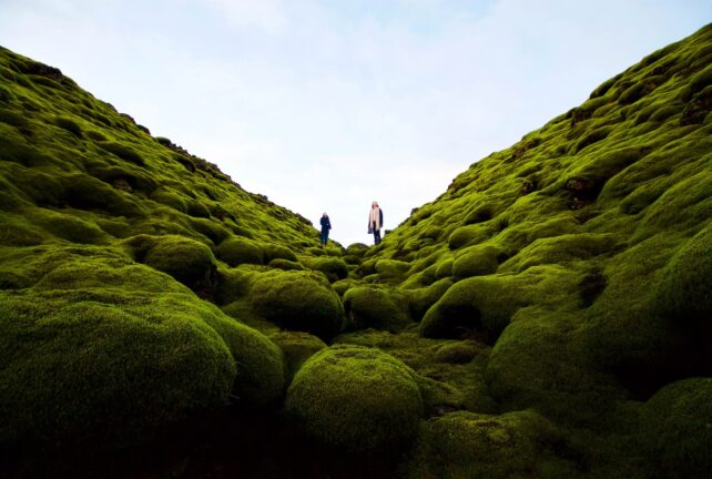 Dos laderas de encuentro de rocas cubiertas de verde redondeado.