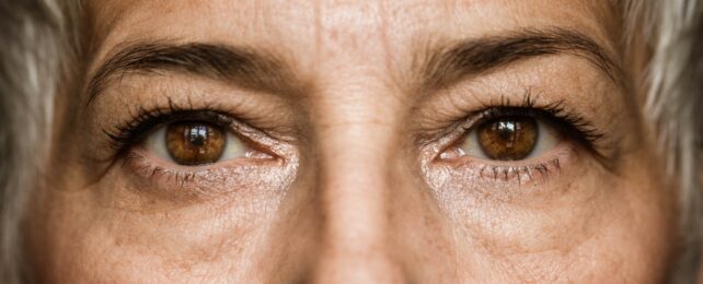 Older Womans Brown Eyes