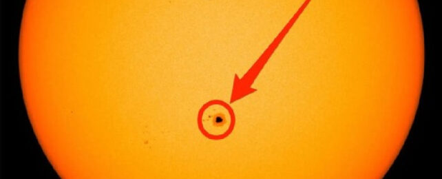 Sunspot circled in red, with arrow pointing to it.