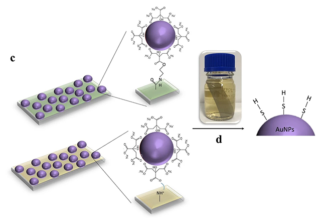 Wine nanoparticle diagram