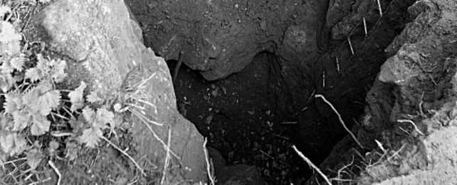 Black Death Pathogen Lurked in Britain Millennia Before Plague Struck