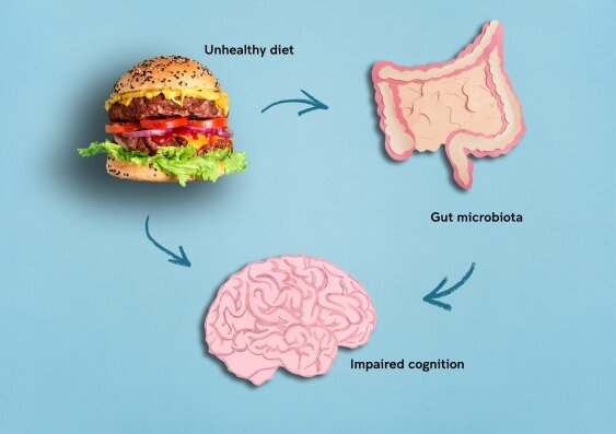 A blue background with mages of a burger, a brain and a stomach with intestine, connected in a circle with arrows. 