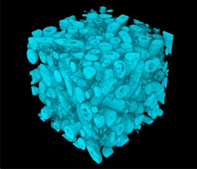 Snowflake Yeast Structure