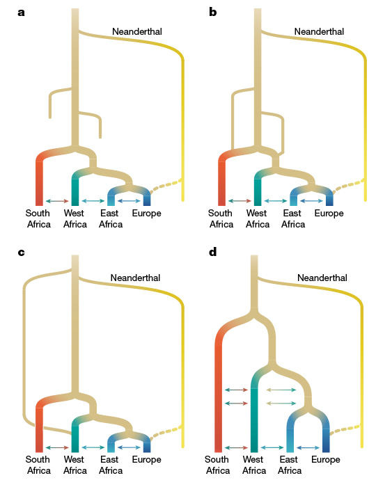 four branching diagrams representing human mixing
