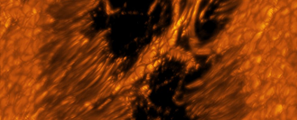 Captivating close-ups show amazing detail hidden in the sun’s glare: ScienceAlert