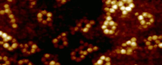 World's First X-Ray of a Single Atom Reveals Chemistry on The Smallest Level