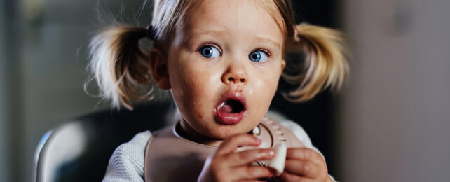 toddler with pigtails and a surprised look eating a piece of breasd