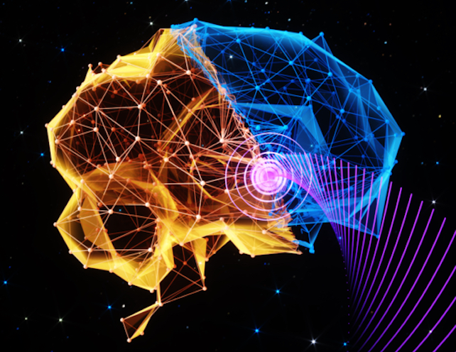 illustration of brain and ultrasound