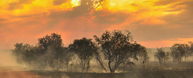 yellow sky with clouds over dry looking landscape