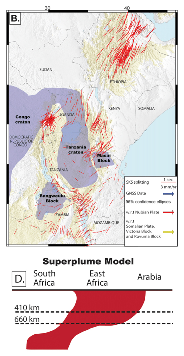 Deformation chart