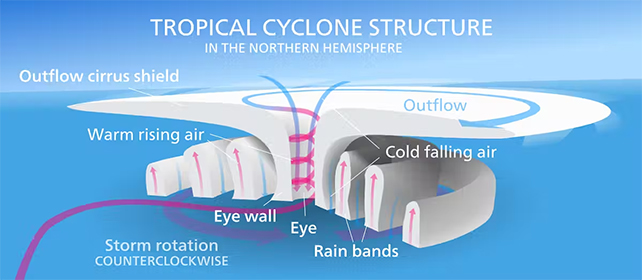 Diagram showing the internal structure of a northern hemispherian tropical cyclone