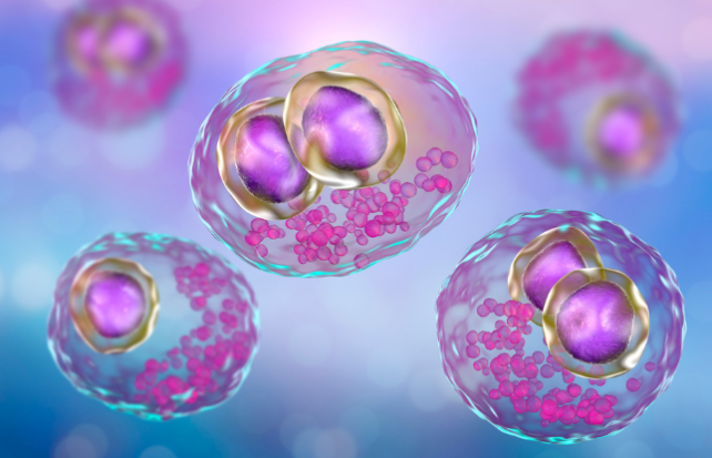 Paarse cirkels binnen duidelijke ovale vormen op een paars/blauwe achtergrond om het uiterlijk van cytomegaloviruscellen weer te geven 