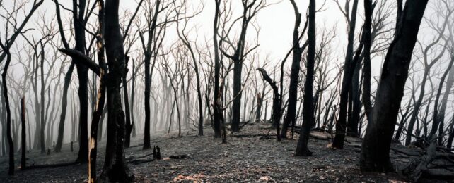 There Are 8 Boundaries For a Safe Planet. To Be Fair, Earth Would Fail 7 of Them.