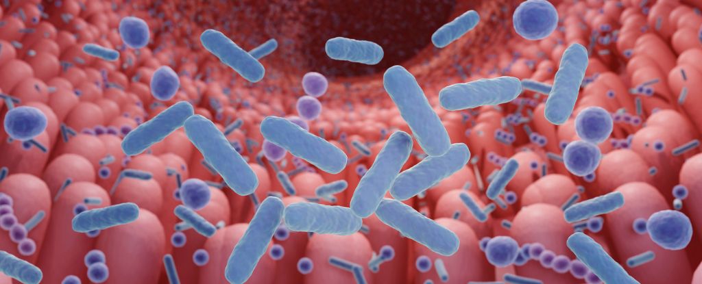 The Connection Between Autism And The Gut Microbiome Is Clearer Than Ever - ScienceAlert