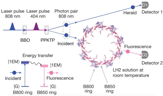 A diagram of the experiment 