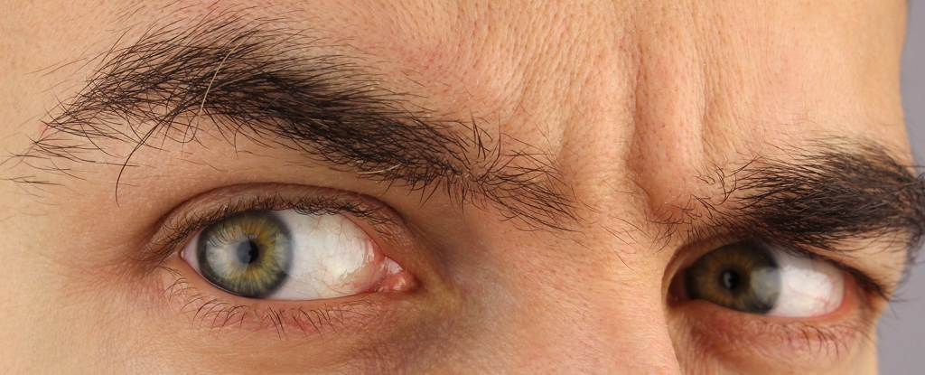Los científicos pueden haber descubierto por qué sus cejas se ven así: Alerta científica