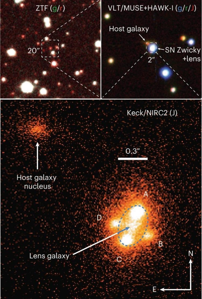 Multiple notes from SN Zwicky