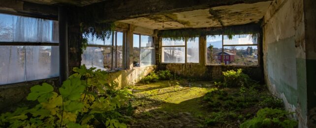 Nature Reclaims Abandoned Building