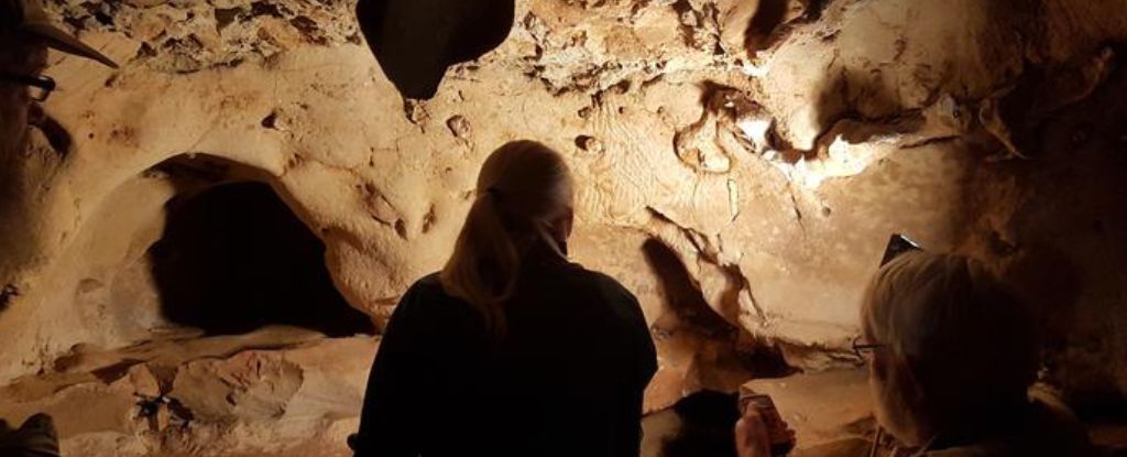 Rasguños en la pared de una cueva en Francia probablemente sean el primer ejemplo de arte neandertal: Heaven32