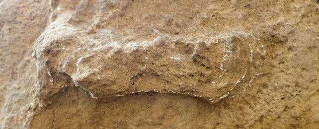 imprint of foot in rock