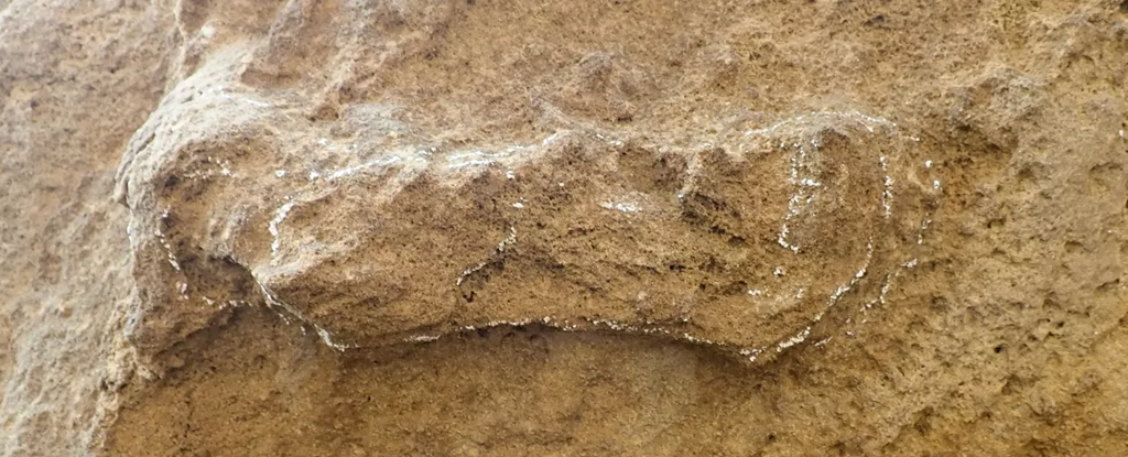 Huella humana conocida más antigua del mundo identificada en Sudáfrica : Heaven32