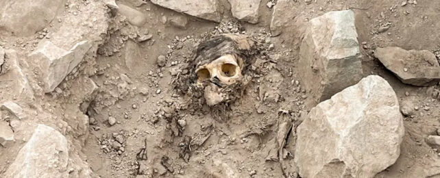 Skeletal remains with hair appear from under layers of dirt and rock.