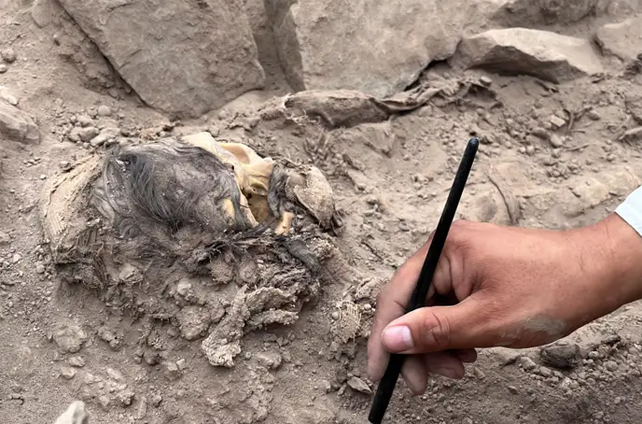A person excavates a skeleton.