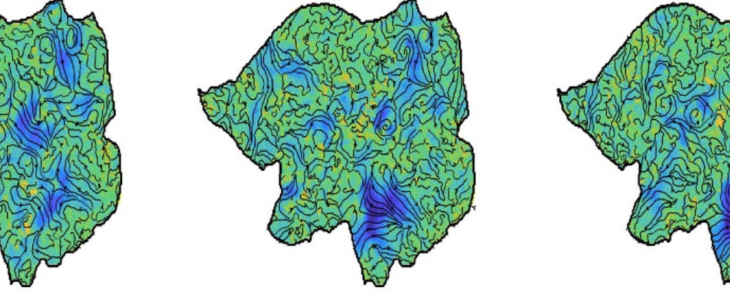 Señales misteriosas en forma de espiral detectadas en el cerebro humano : Heaven32