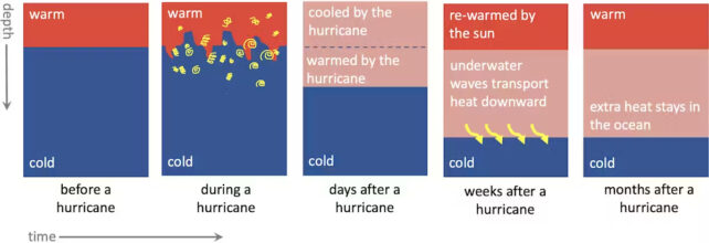 Series of diagrams showing what happens to water temperatures before, during and after a cylcone.