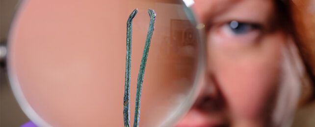 A woman uses a magnify lens to look at a pair of ancient Roman tweezers.