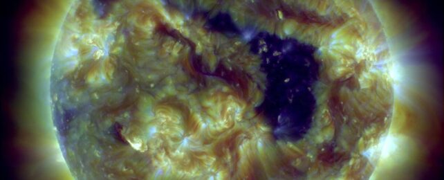 A Craft Has Flown Close Enough to The Sun to Detect The Source of Elusive Solar Winds