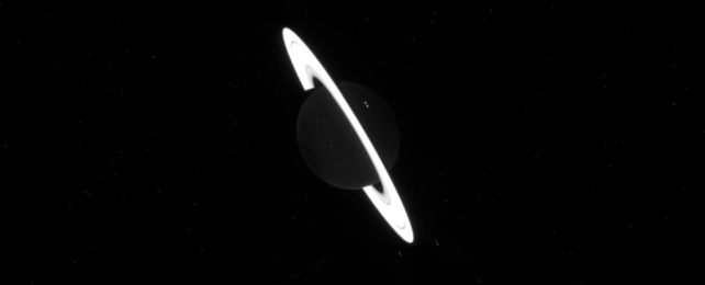 Raw JWST of Saturn with glowing white rings