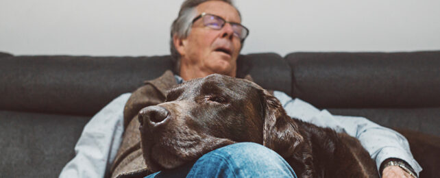 older man sleeping with a sleeping dog on his lap