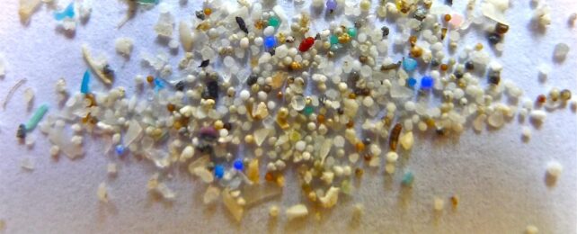 microplastic particles