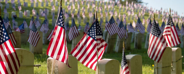 USA flags on tombstones.