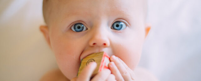A blue-eyed baby chewing on a letter block.