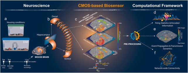 Large-scale CMOS-based Biosensor Framework