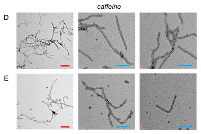 Caffeine analysis