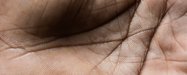 Close-up of lines on palm of a person's hand, cupped slightly.