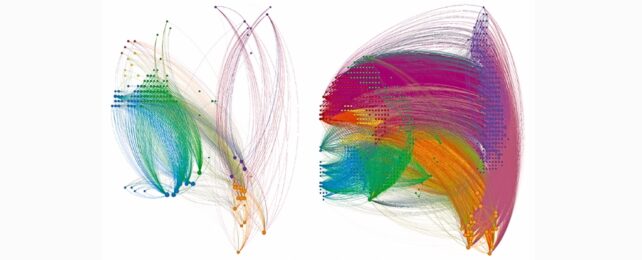 Connectome mapping of the hippocampal-cortical network