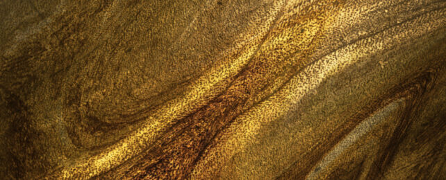 Close up of dark gold pain with foil flecks creating striped patterns.