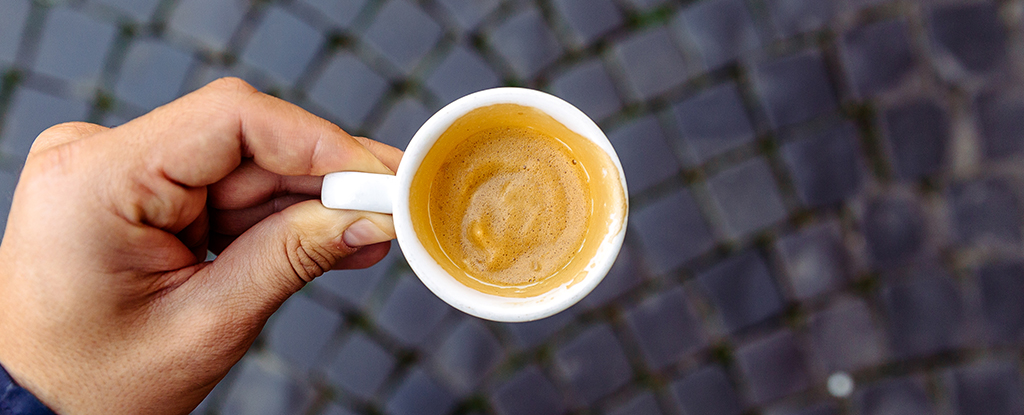 Italská studie ukazující, jak espresso zabraňuje shlukům Alzheimerovy bílkoviny: ScienceAlert