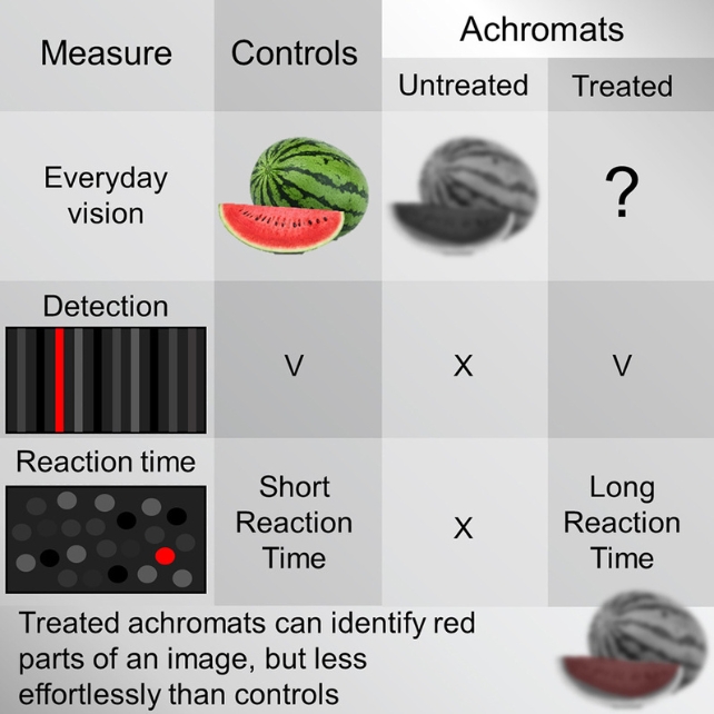 A simple graphic of the study details