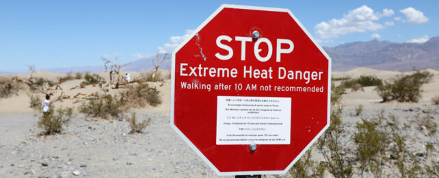 A heat advisory warning sign in Death Valley. It reads, "STOP. Extreme Heat Danger. Walking after 10am not recommended."