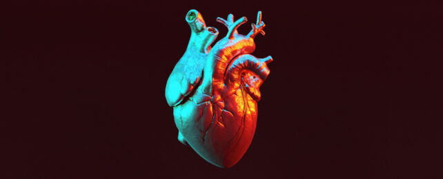 3D render of a human heart on a dark background