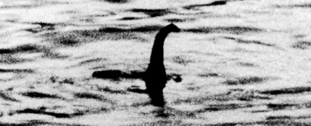Loch Ness Monster In Black And White