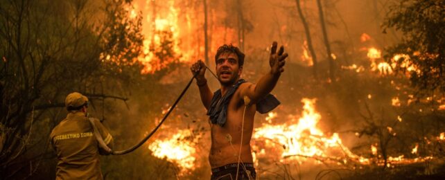 Man Gestures Amid Wildfire
