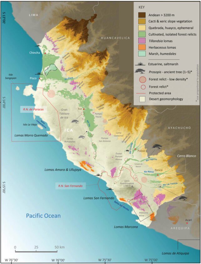 Map showing distribution of different vegetation types in the Ica region of Peru